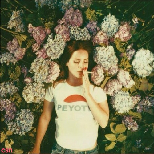 Lana Del Rey