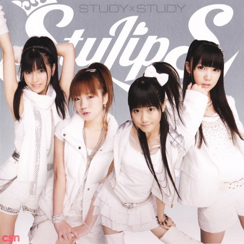 StylipS