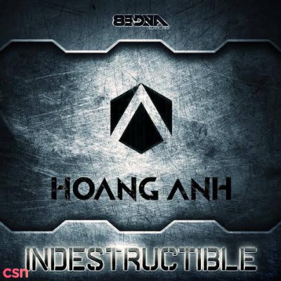 DJ Hoàng Anh