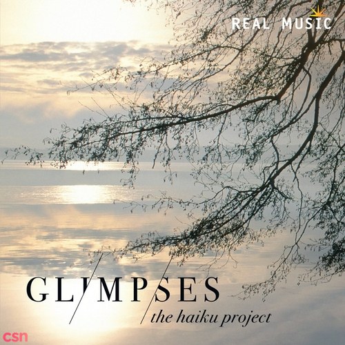 The Haiku Project