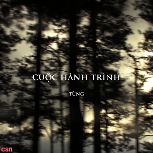 Tùng