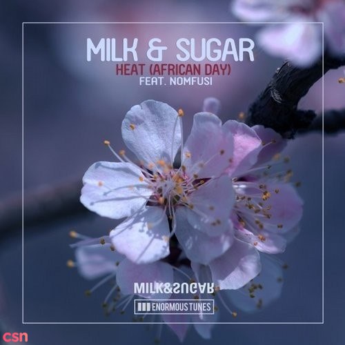 Milk & Sugar