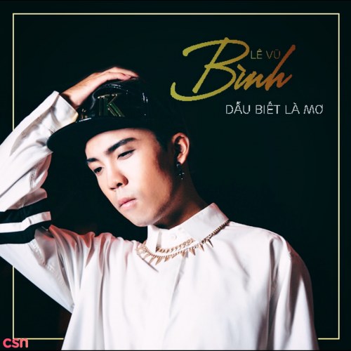 Lê Vũ Bình