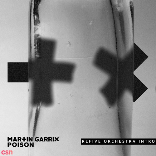 Martin Garrix