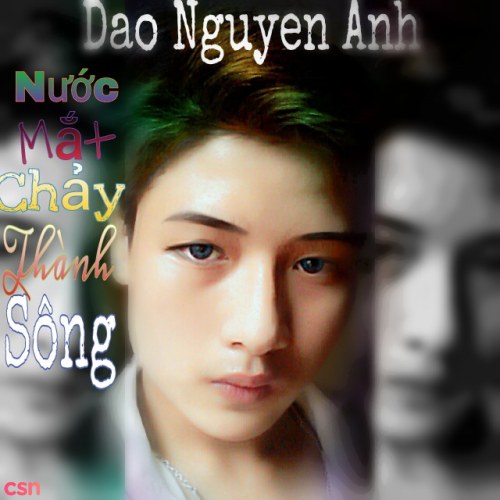 Đào Nguyễn Ánh