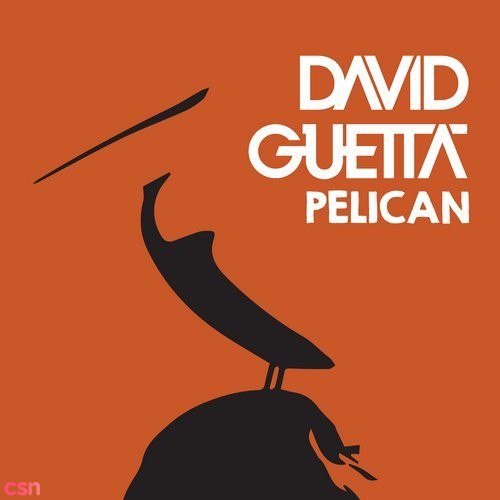 David Guetta