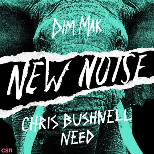 Chris Bushnell