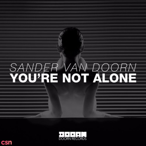Sander Van Doorn