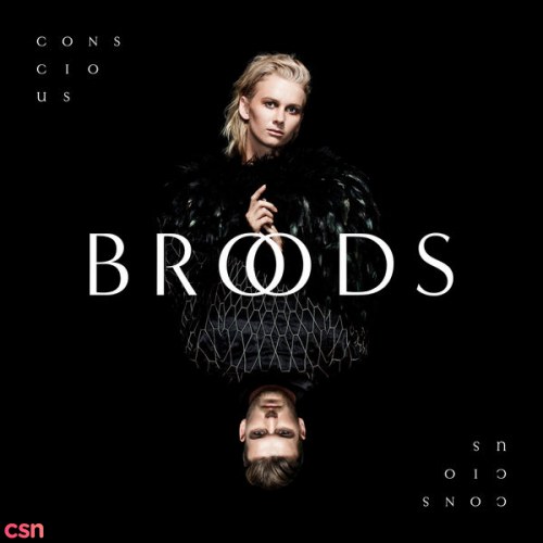 Broods