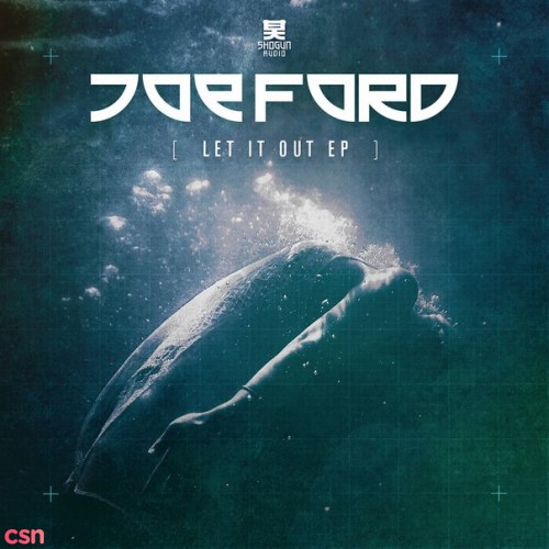 Joe Ford