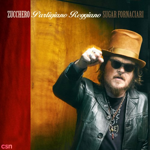Zucchero
