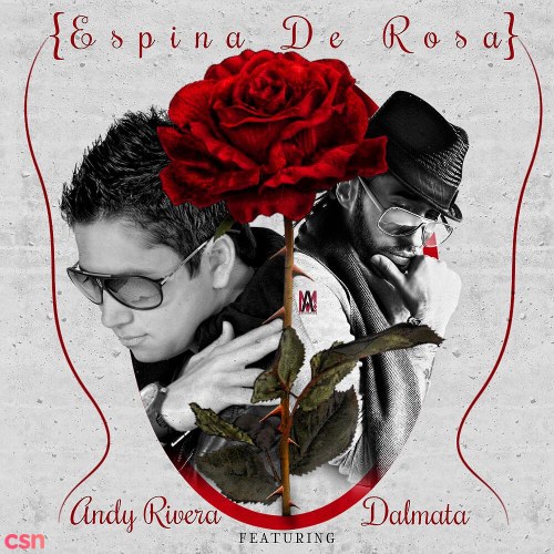 Andy Rivera