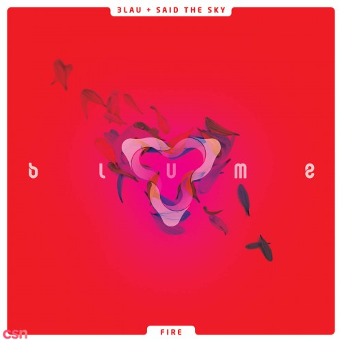 3LAU