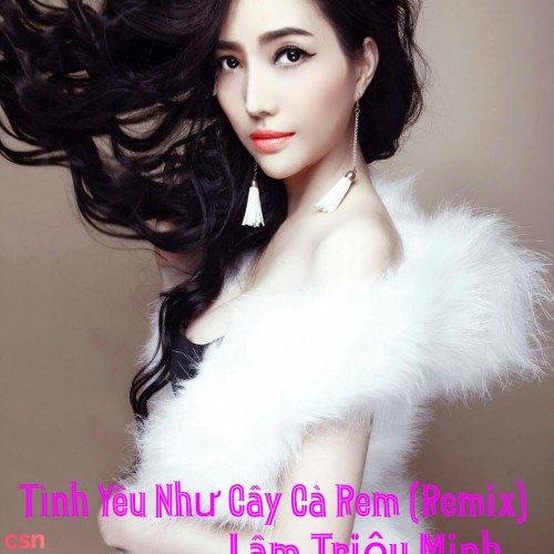 Lâm Triệu Minh