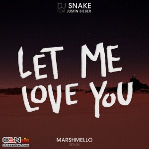 DJ Snake