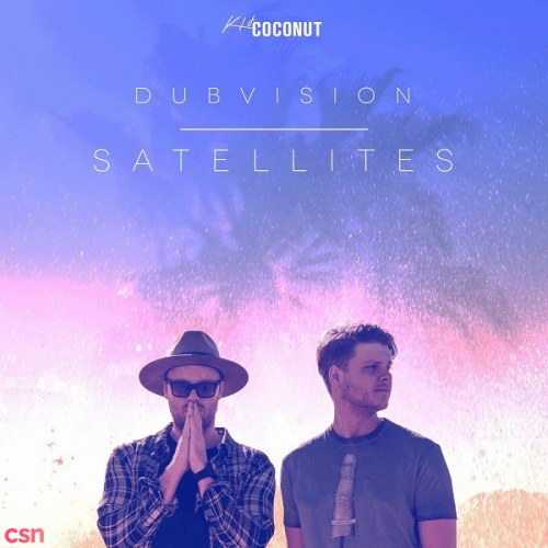 Dubvision