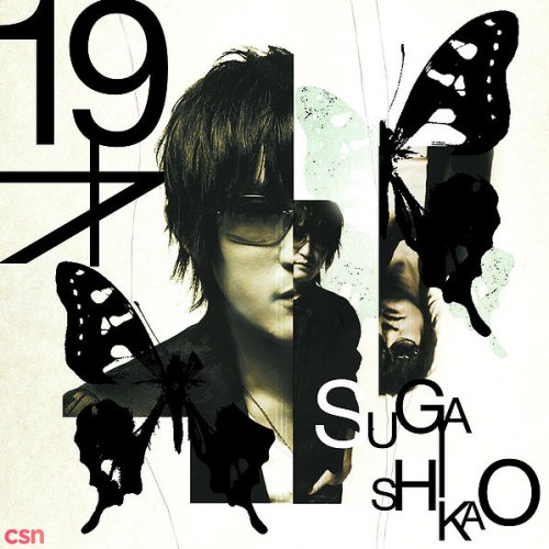 Suga Shikao