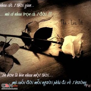 Liiz Tít