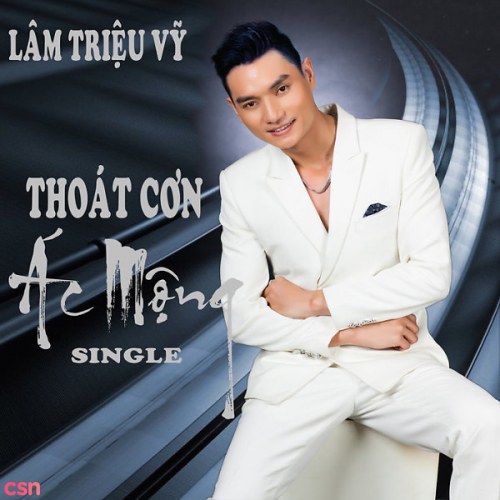 Lâm Triệu Vỹ