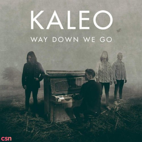 Kaleo