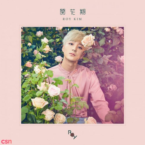 Roy Kim