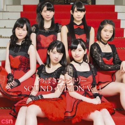 Tsubaki Factory