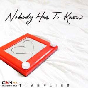 Timeflies