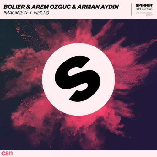 Arem Ozguc
