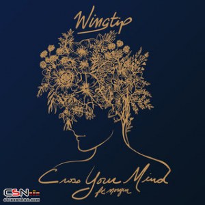 Wingtip