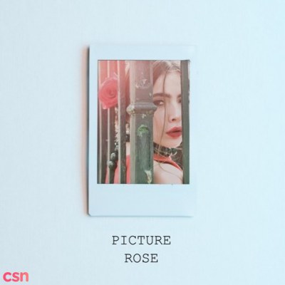 로즈 (ROSE)