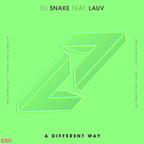DJ Snake