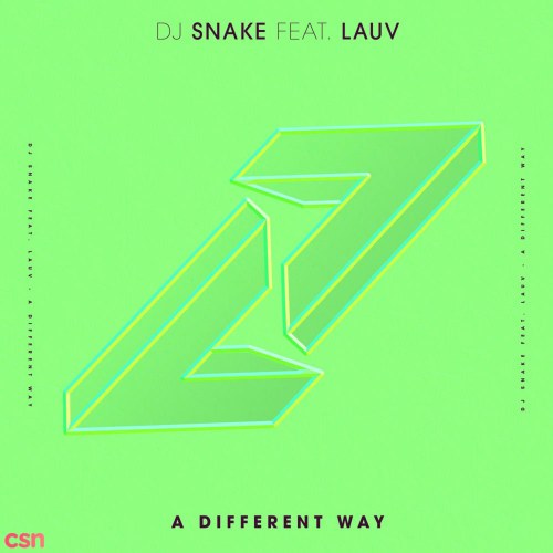 DJ Snake