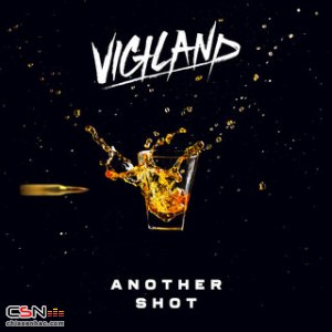 Vigiland