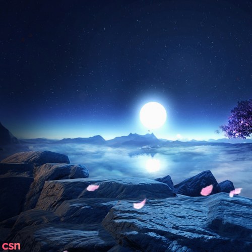 Mân Mân Đích Miêu Mễ