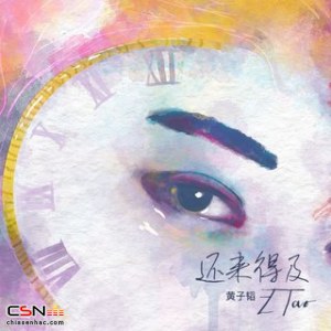 Z.Tao