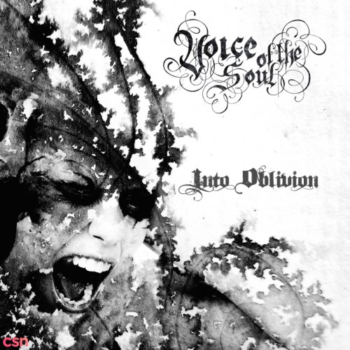 Voice Of The Soul