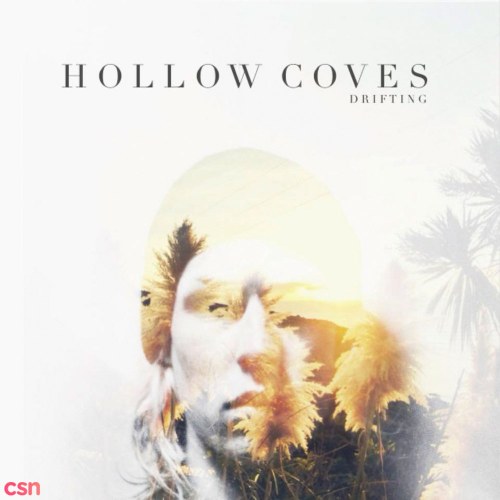 Hollow Coves