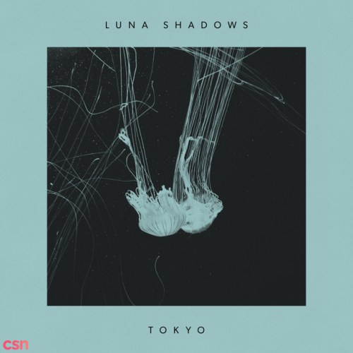Luna Shadows
