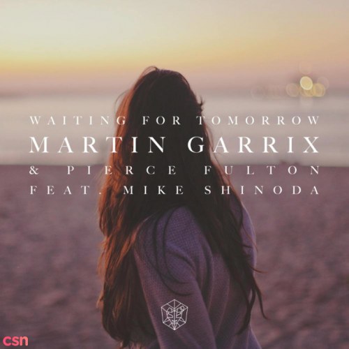 Martin Garrix