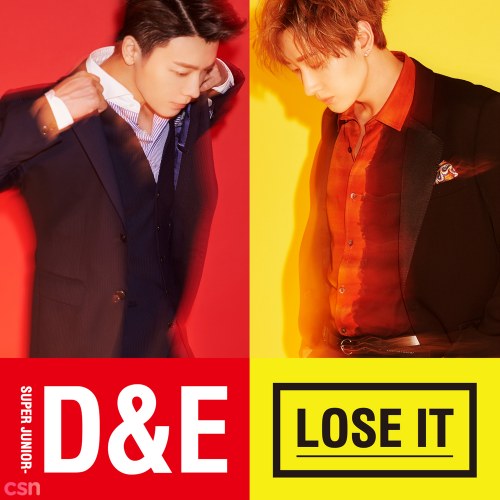 Super Junior D& E