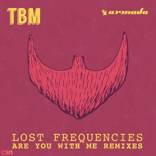 Lost Frequencies