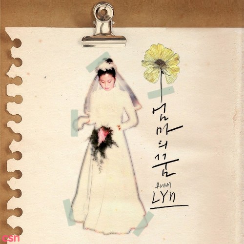 Lyn