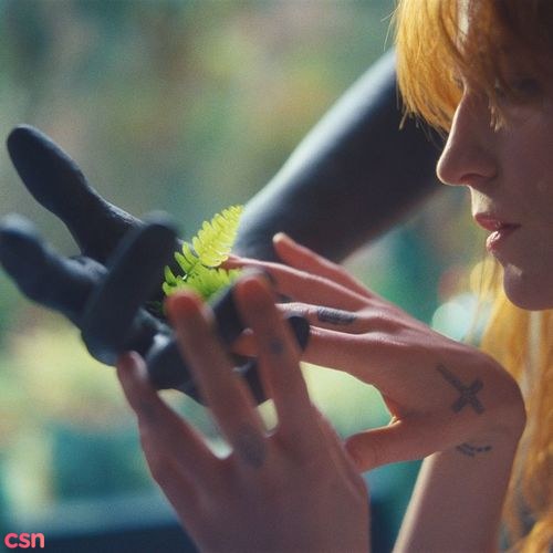 Florence + The Machine