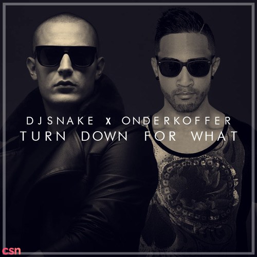 DJ Snake