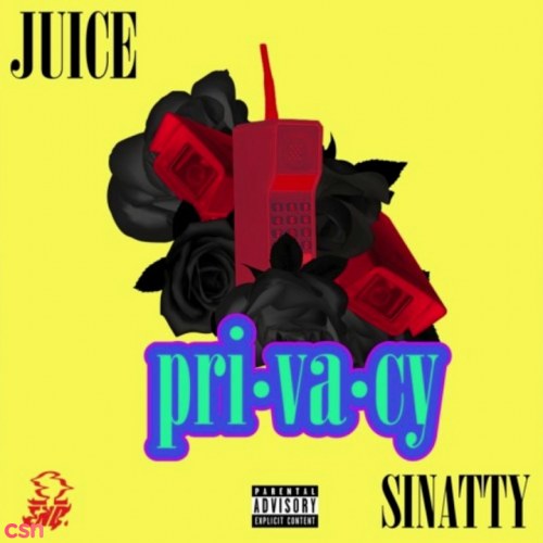 NoJuice Q