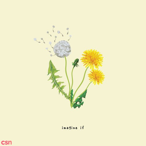 Gnash