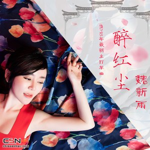 Nguỵ Tân Vũ