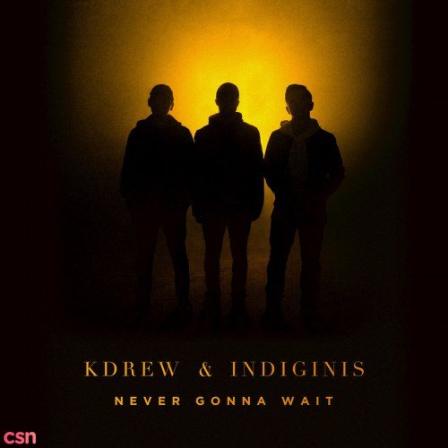 Indiginis