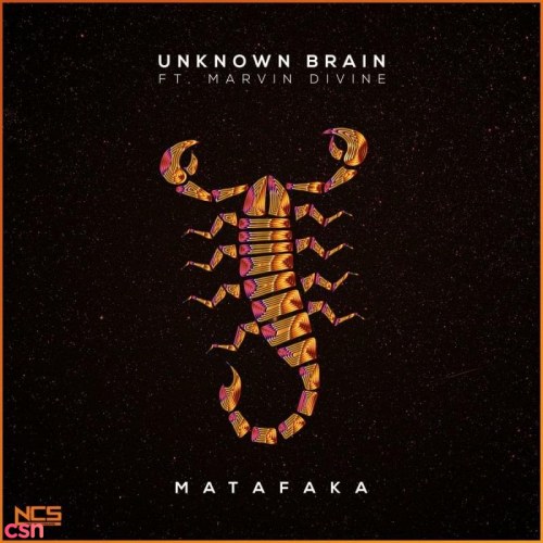 Unknown Brain