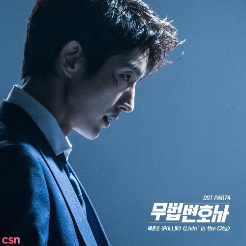 Park Junho (Pullik)